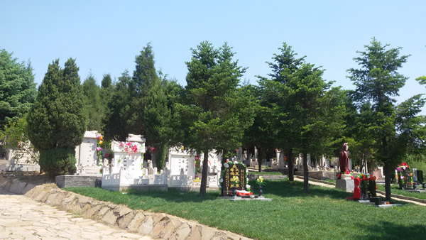 2015062408243070518.jpg