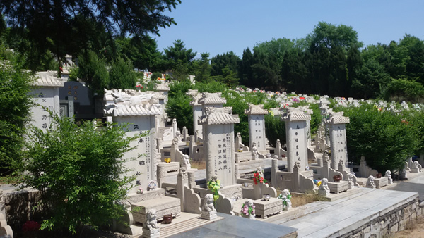 2015062408251064926.jpg