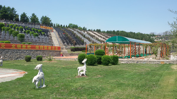 2015062408252035659.jpg